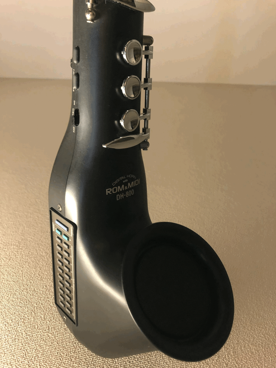 CASIO カシオ DH-800 デジタルホーン 電子サックス www.expressinter.com