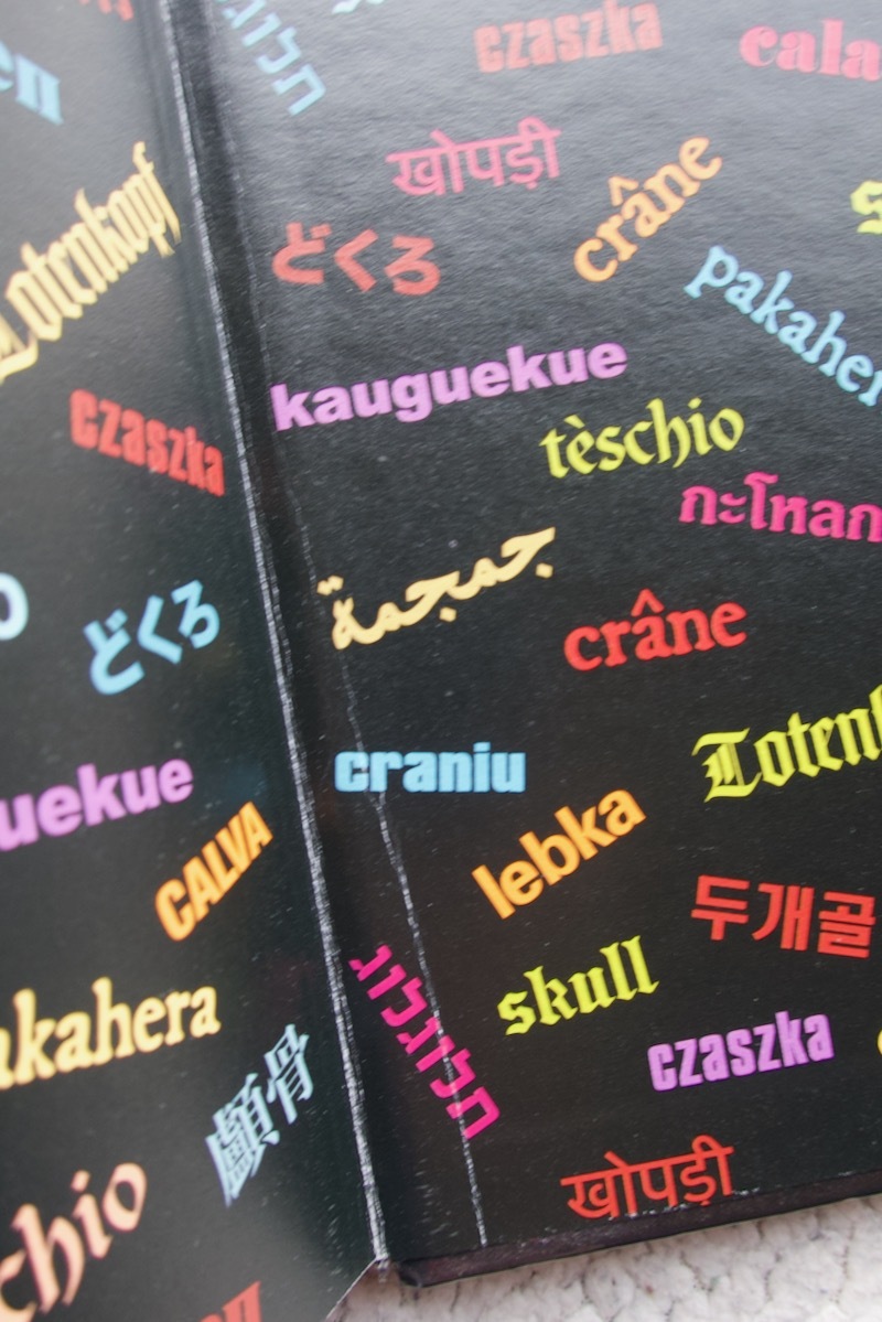 Le livre des vanits/Elisabeth Quin フランス語 骸骨 スカル☆ 文学、小説 Le livre des vanits/Elisabeth Quin フランス語 骸骨 スカル☆ 文学、小説