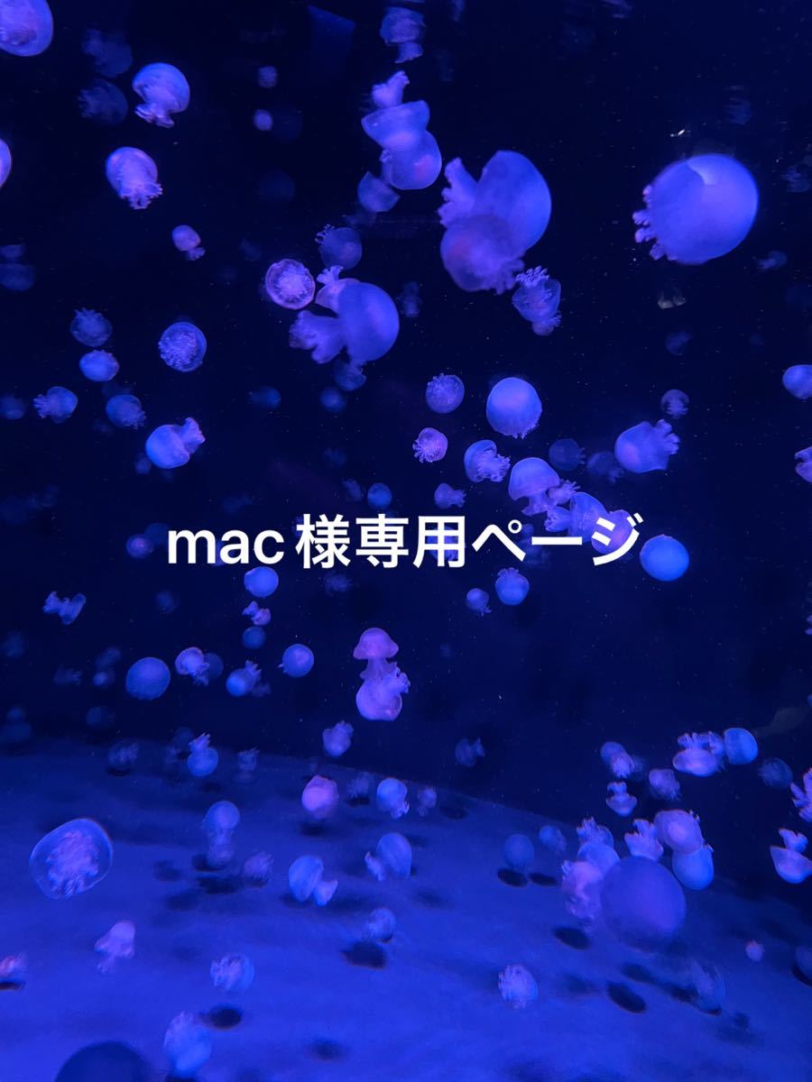 mac様 専用ページ｜PayPayフリマ