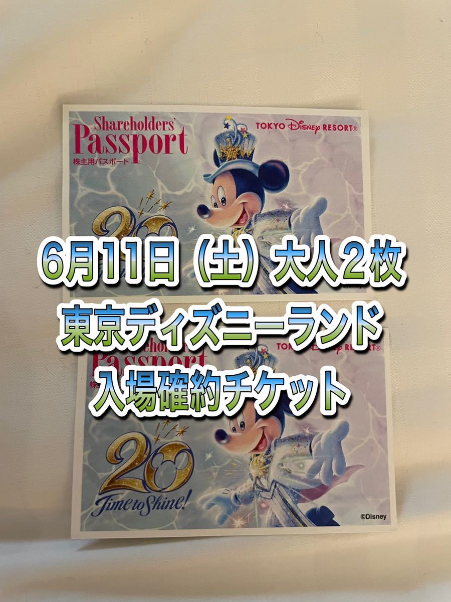 6月11日　東京ディズニーランド　チケット　2枚セット　パスポート　9時入園_画像1