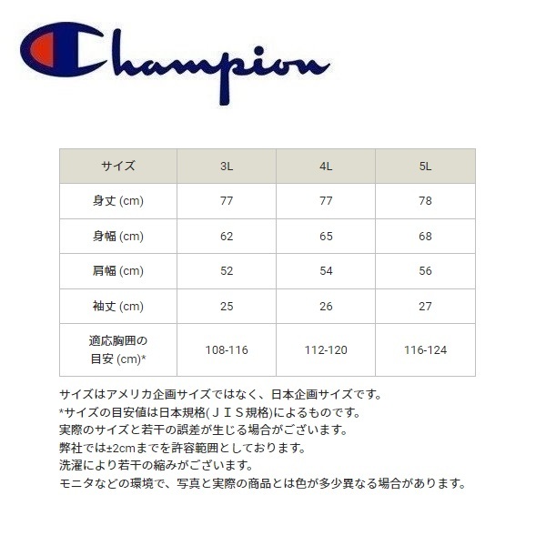 Champion チャンピオン レトログラフィックＴシャツ ネイビー 3L C3-V311L メンズ 大きいサイズの画像3