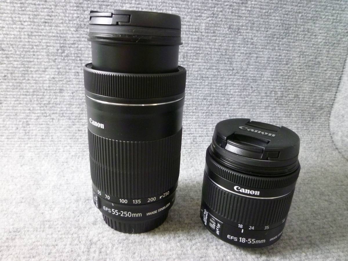 Canonダブルズームレンズ(18-55mm STM、55-250mm IS