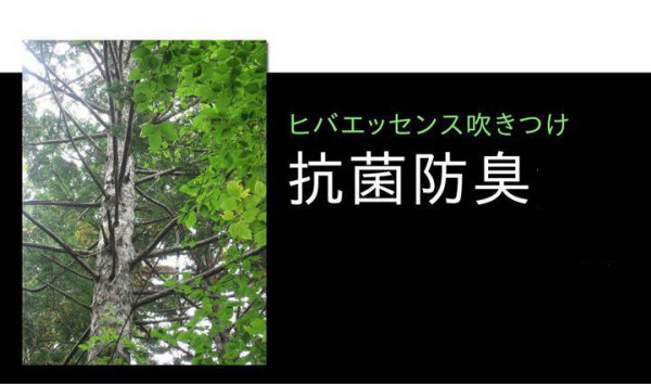 純国産 い草ラグカーペット 『Fウォール』 約140×200cm 1717400_画像7