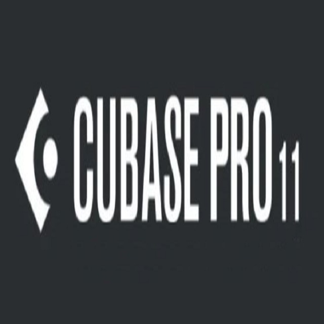 Steinberg CUBASE PRO 11 通常版 平行輸入品 (CUBASE PRO 12 無料
