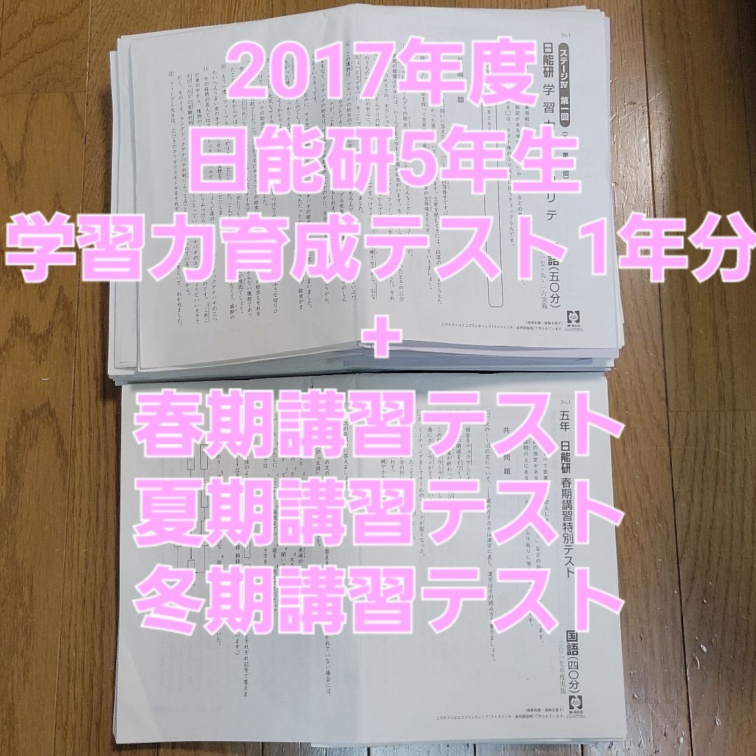 2017年 日能研5年 育成テスト1年分 春期講習 夏期講習 冬期講習 テスト