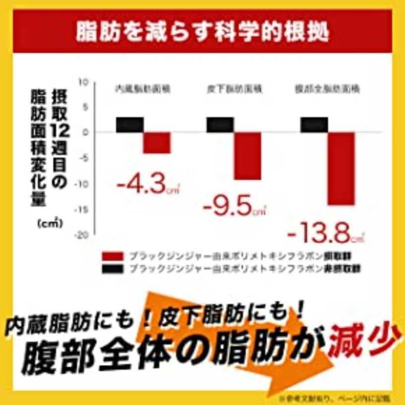 3ヶ月分 オーガランド メタノン 脂肪を減らすサプリ 機能性表示食品 サプリメント ダイエット ブラックジンジャー_画像6