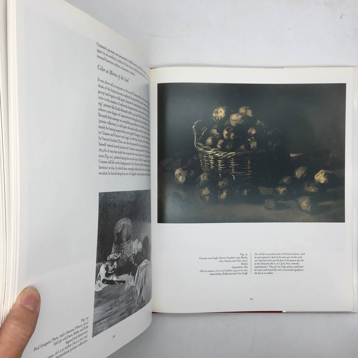 【画集】静物画の歴史「Still life : a history」H. N. Abrams　1999年　図版295点フルカラー☆絵画史　美術史 トロンプルイユ by4yn31_画像9