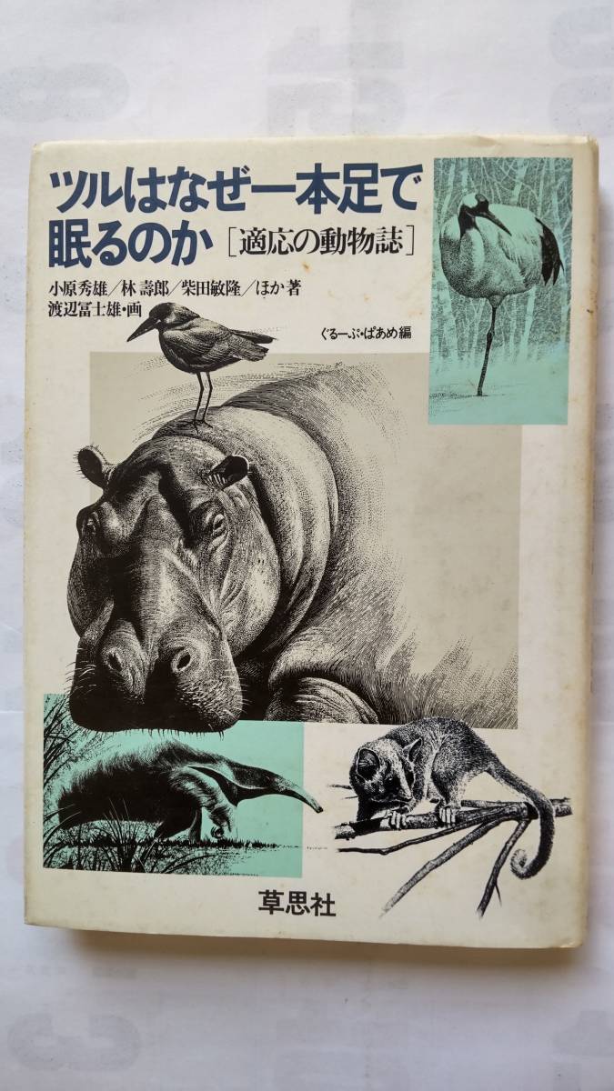 「ツルはなぜ一本足で眠るのか　〔適応の動物誌〕」　　小原秀雄・林　壽郎・柴田敏隆ほか著