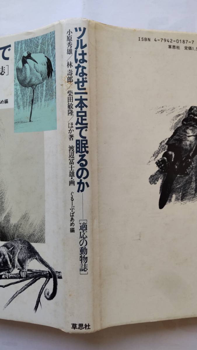 「ツルはなぜ一本足で眠るのか　〔適応の動物誌〕」　　小原秀雄・林　壽郎・柴田敏隆ほか著