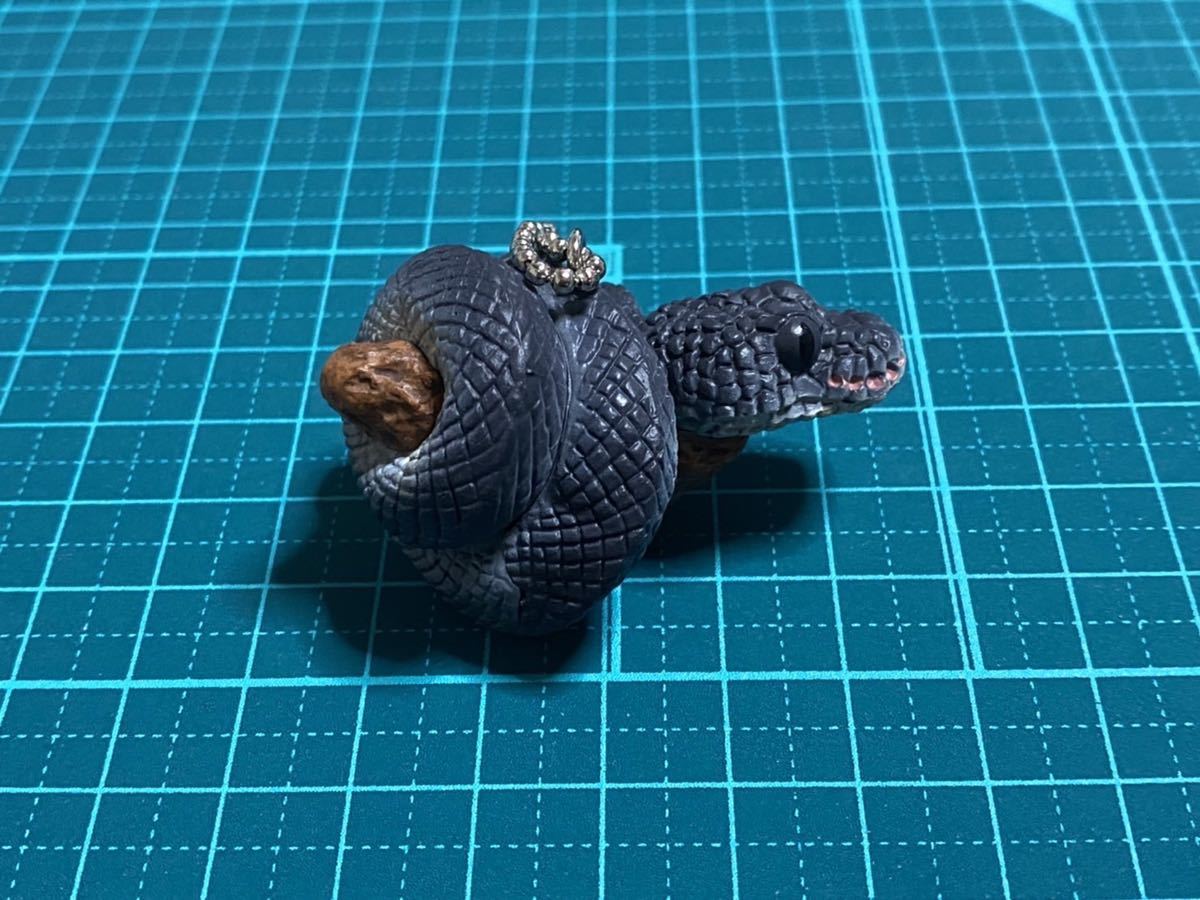 ボールパイソンとコーンスネーク ボールパイソン スーパーブラックパステル ヘビ 蛇 ガチャガチャ カプセルトイ 生き物 売買されたオークション情報 Yahooの商品情報をアーカイブ公開 オークファン Aucfan Com ボールパイソンとコーンスネーク ボールパイソン スーパーブラックパステル ヘビ 蛇 ガチャガチャ カプセルトイ 生き物 売買されたオークション情報 Yahooの商品情報をアーカイブ公開 オークファン Aucfan Com