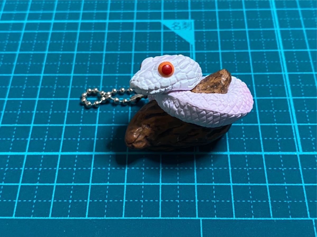 ボールパイソンとコーンスネーク コーンスネーク ブリザード ヘビ 蛇 ガチャガチャ カプセルトイ 生き物 売買されたオークション情報 Yahooの商品情報をアーカイブ公開 オークファン Aucfan Com ボールパイソンとコーンスネーク コーンスネーク ブリザード ヘビ 蛇 ガチャガチャ カプセルトイ 生き物 売買されたオークション情報 Yahooの商品情報をアーカイブ公開 オークファン Aucfan Com