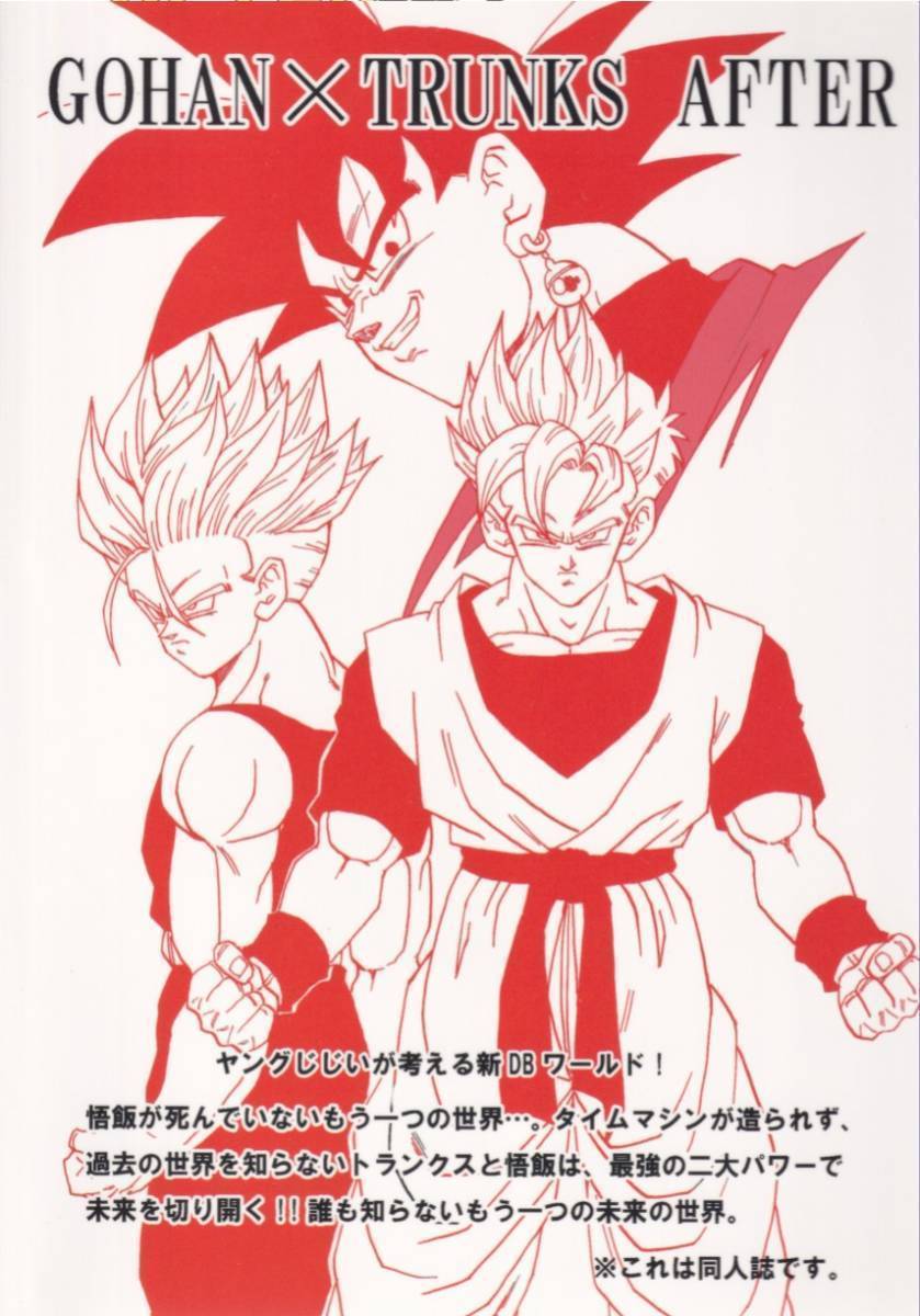  Dragon Ball # Monkey z Young ..[GOHAN×TRUNKS AFTER NO.1].. трусы 17 номер 18 номер 