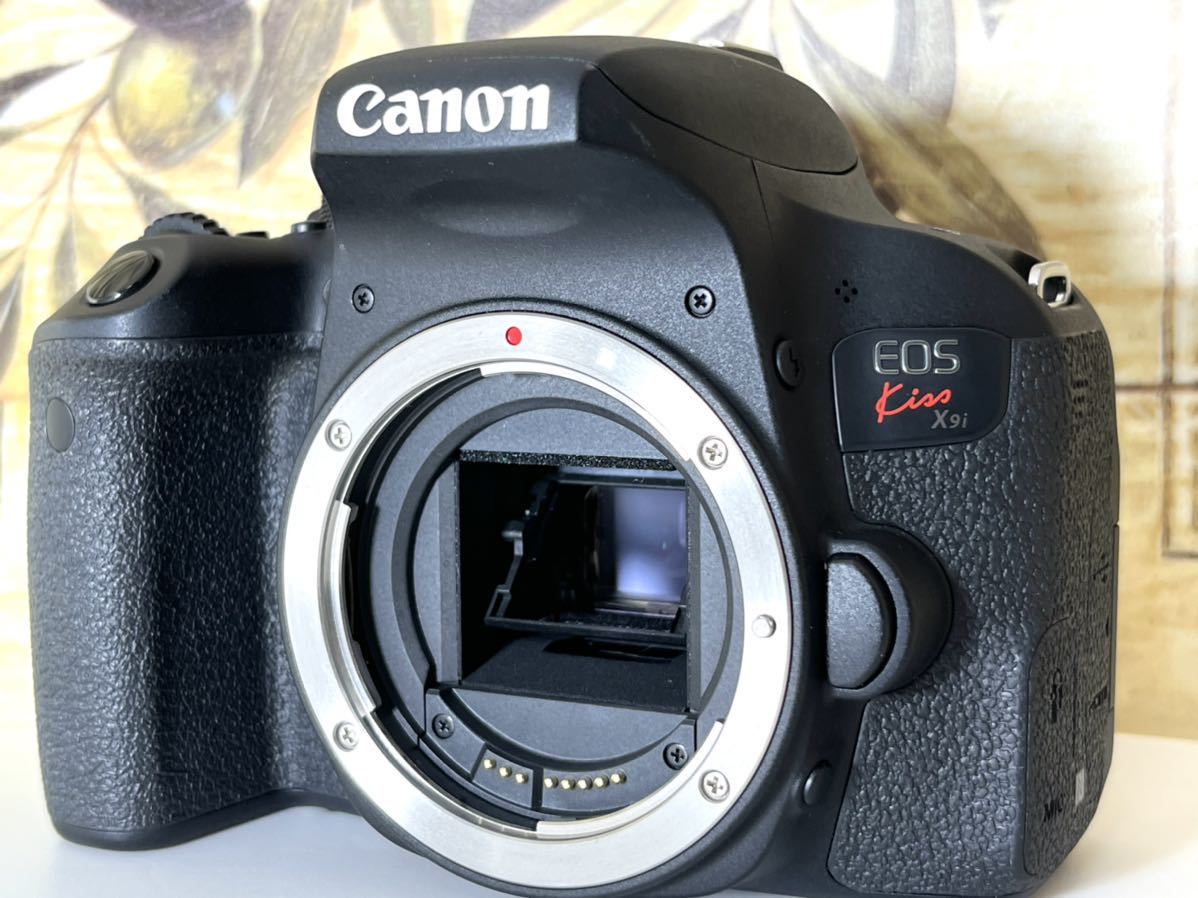 シャッター回数極少 美品 キャノン Canon EOS Kiss x9i トリプルレンズ