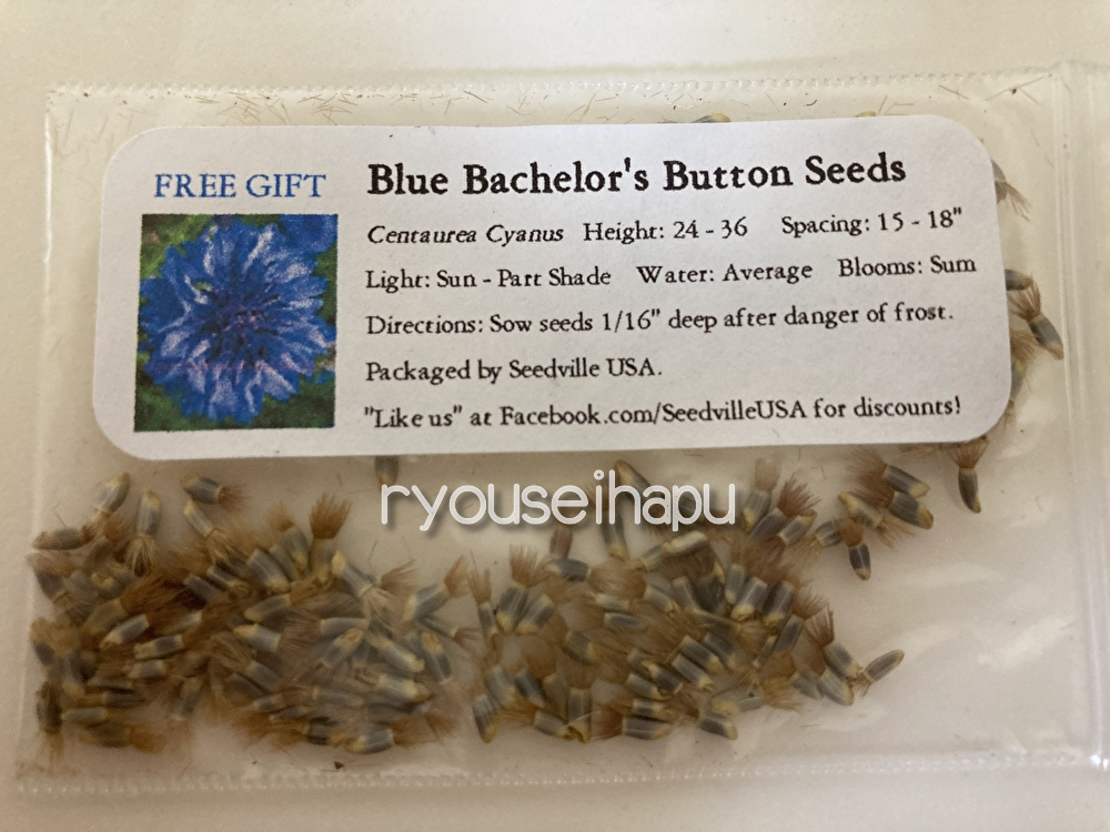 Dye The Midsummer Garden с синим ★ 5 Семена "Blue Bachelor's"