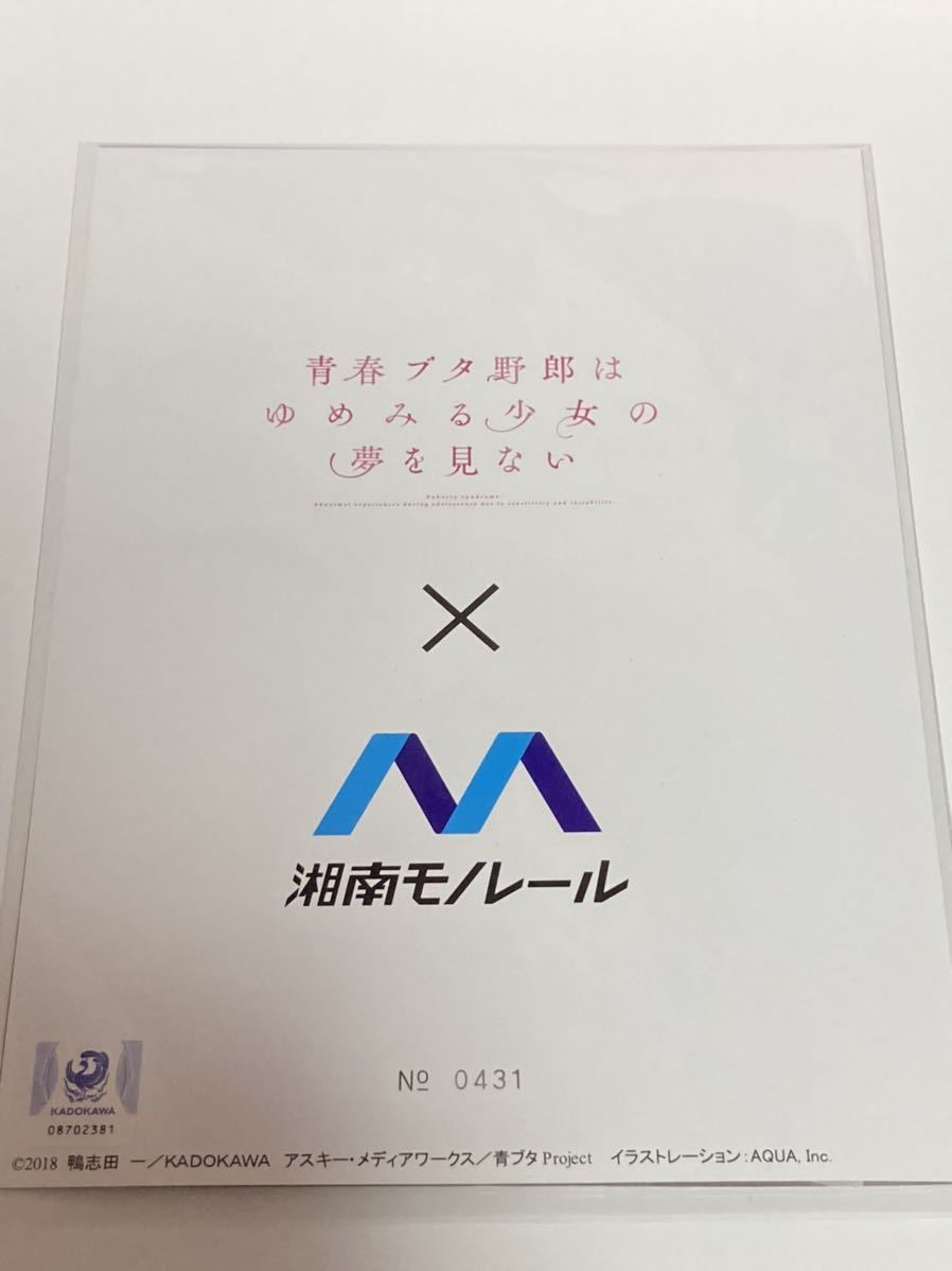 湘南モノレール 青ブタ コラボ 記念硬券セット＆クリアファイル セット 湘モノ