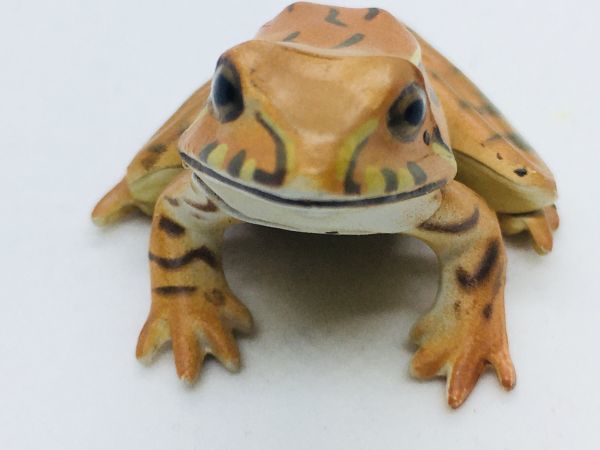 カエル　蛙　ニホンアカガエル　フィギュア　日本　生き物　生物　動物　ミニチュア　22b53_画像1