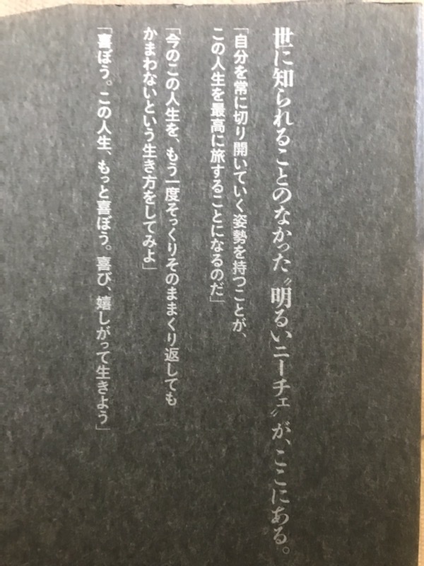 ■ 超訳 ニーチェの言葉 ■ ディスカヴァーのクラシック名言シリーズ　フリードリヒ・ニーチェ (翻訳)白取春彦　送料198円_画像2