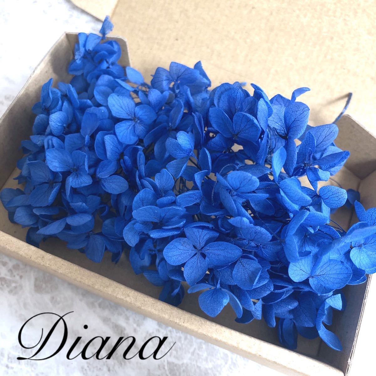  blue preserved flower material for flower arrangement herbarium 