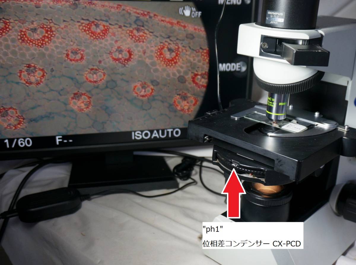 オリンパス CX41 位相差顕微鏡（簡易偏光、暗視野、明視野 