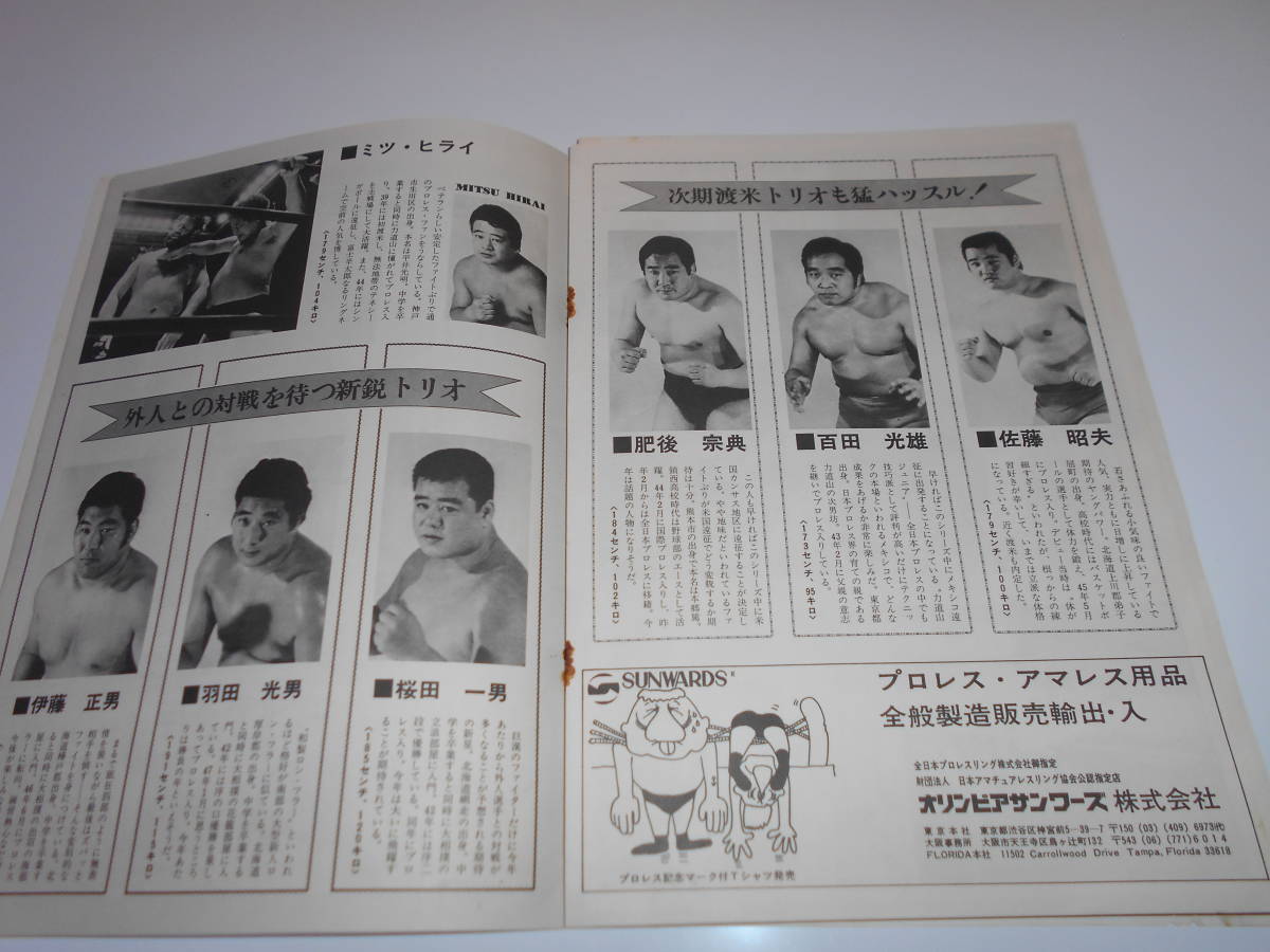 パンフレット 全日本プロレス 1974 新春NWAシリーズ ジャンボ鶴田 デストロイヤー ハーリー レイス テリーファンク ドリー 