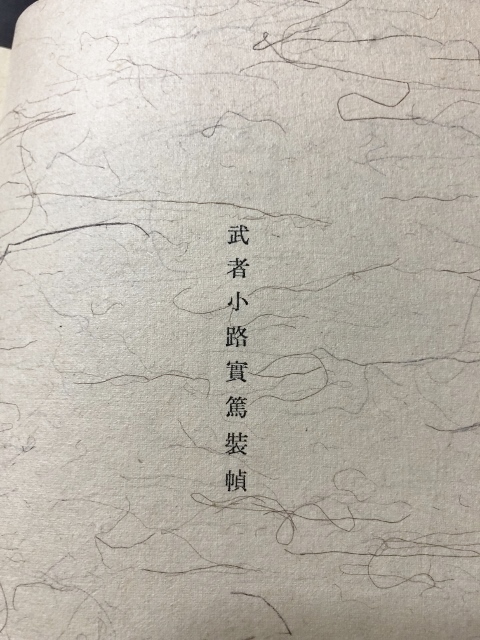 白痴　川端茅舎句集／川端茅舎／甲鳥書林／1941年／武者小路実篤装幀_画像6