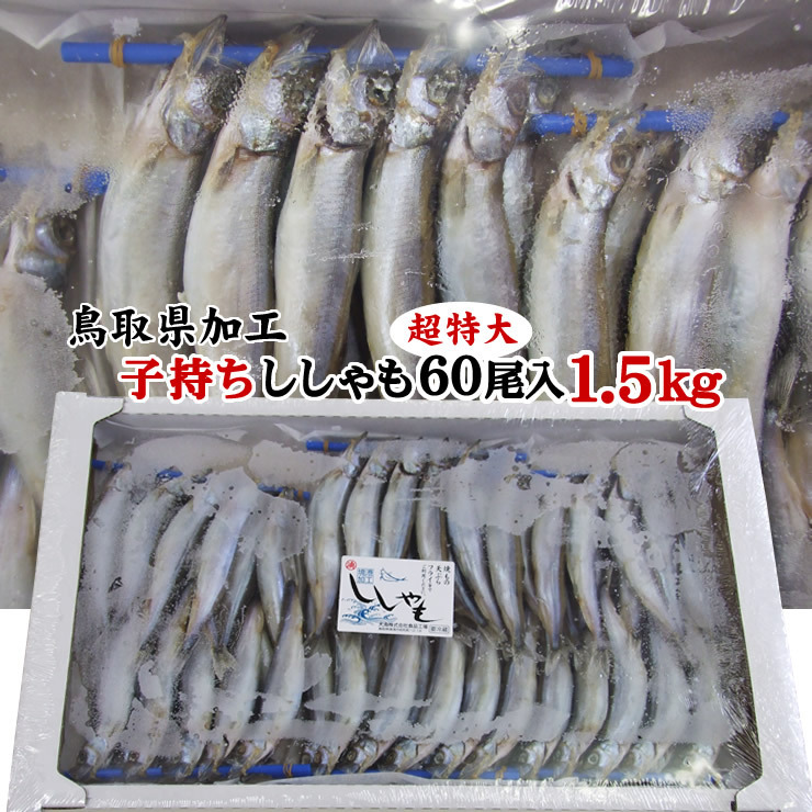 【1円～】超特大【子持ちカラフトししゃも一夜干し】〔冷凍〕60尾入り1.5ｋｇセット［ノルウェー産鳥取県境港加工］メスシシャモ_画像1