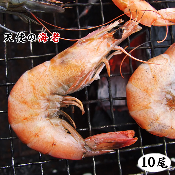 【1円～】海鮮BBQ【 エビ ＆ ホタテ貝】[天使の海老×10尾 ＆ ホタテ片貝10個セット] [冷凍] 帆立 バーベキュー_画像2