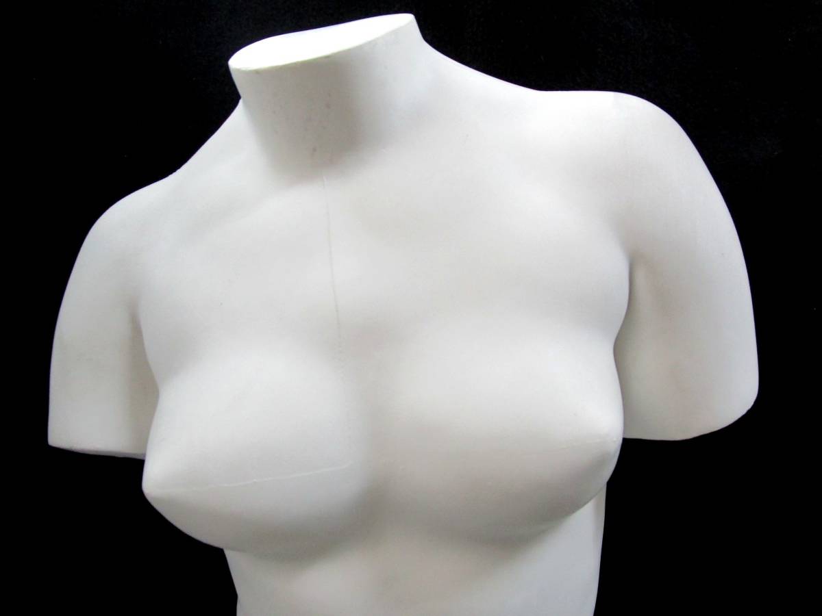石膏像 冨士石膏像製作所 Fuji デッサン 女体 女性 胴体 裸体 石膏像 冨士石膏像製作所 Fuji デッサン 女体 女性 胴体 裸体
