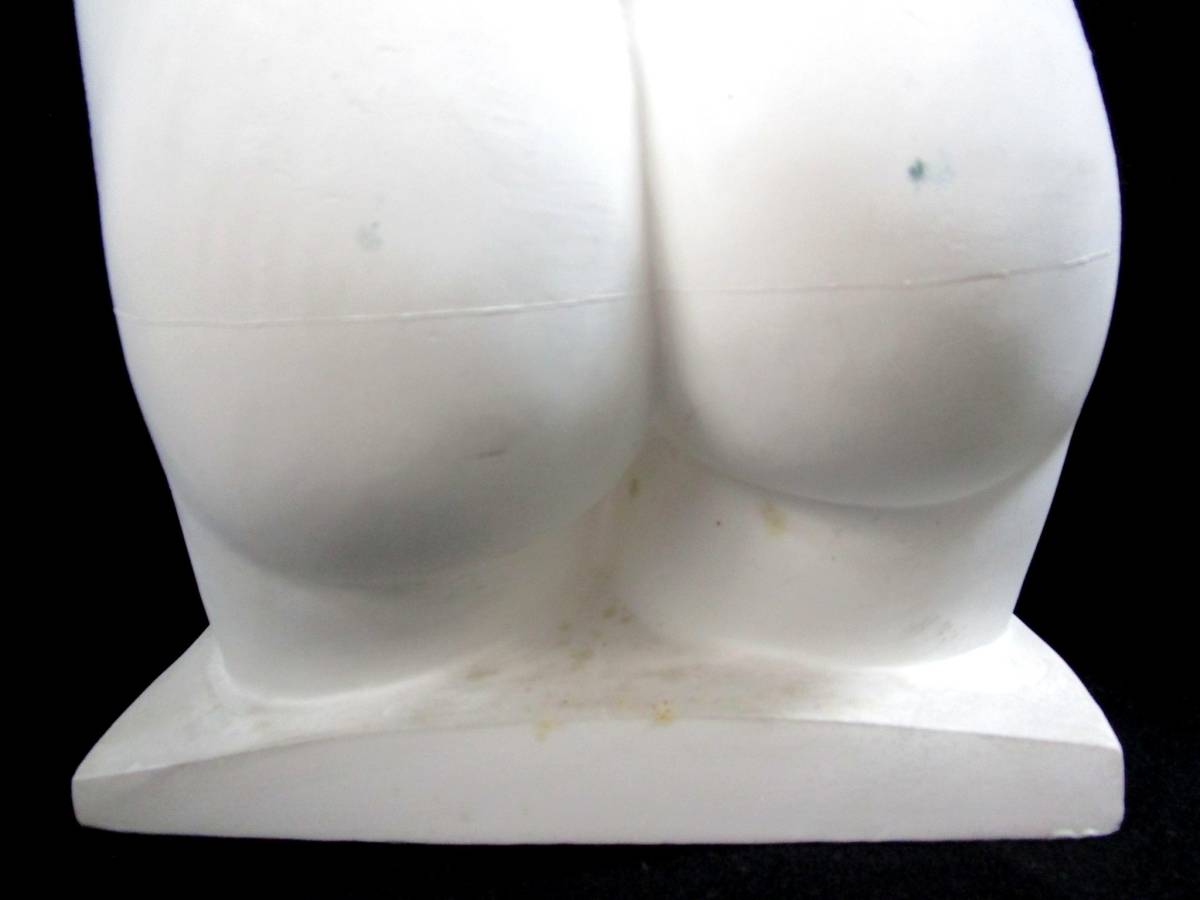 石膏像 冨士石膏像製作所 Fuji デッサン 女体 女性 胴体 裸体 トルソー 