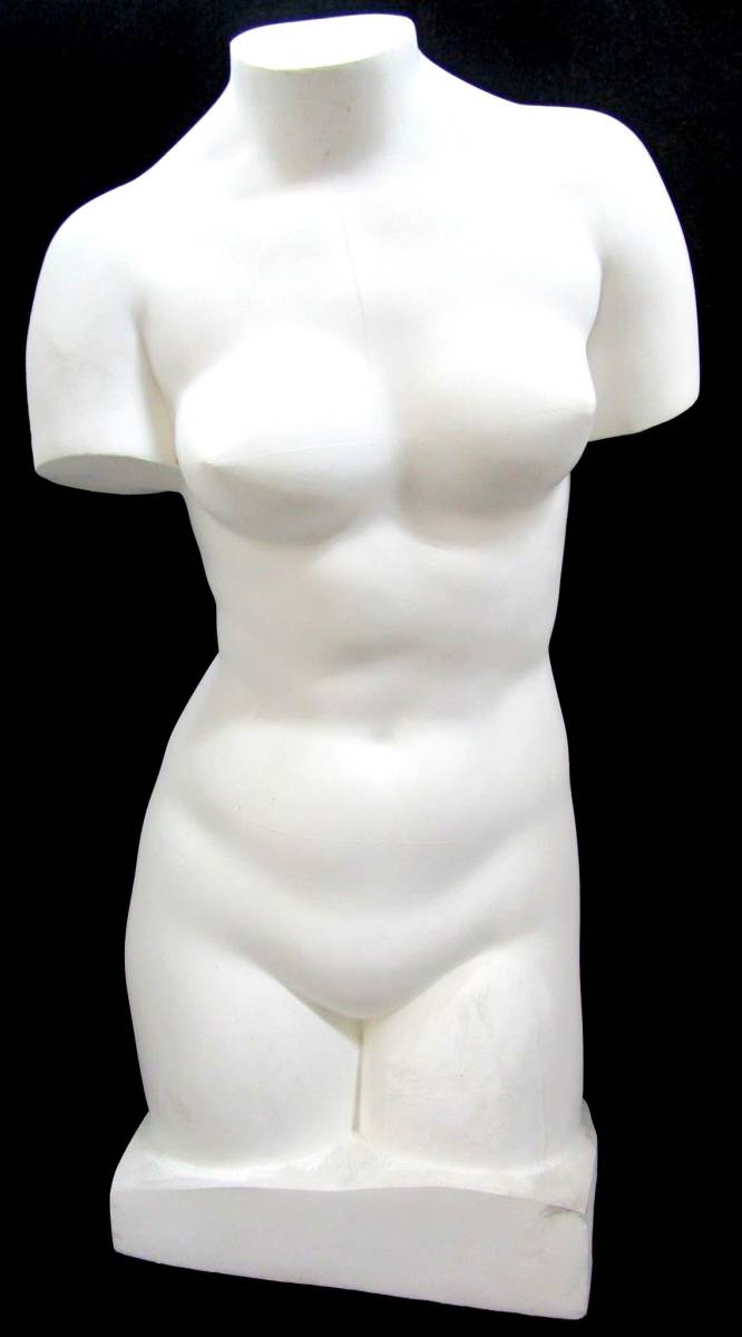石膏像 冨士石膏像製作所 Fuji デッサン 女体 女性 胴体 裸体 石膏像 冨士石膏像製作所 Fuji デッサン 女体 女性 胴体 裸体