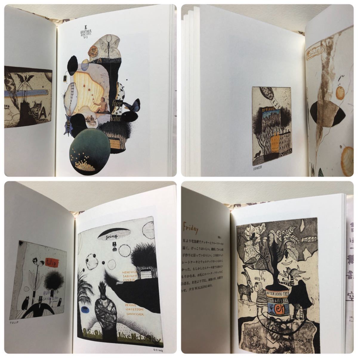 極美品　絶版　落田洋子 銅版画集『アフタヌーン』