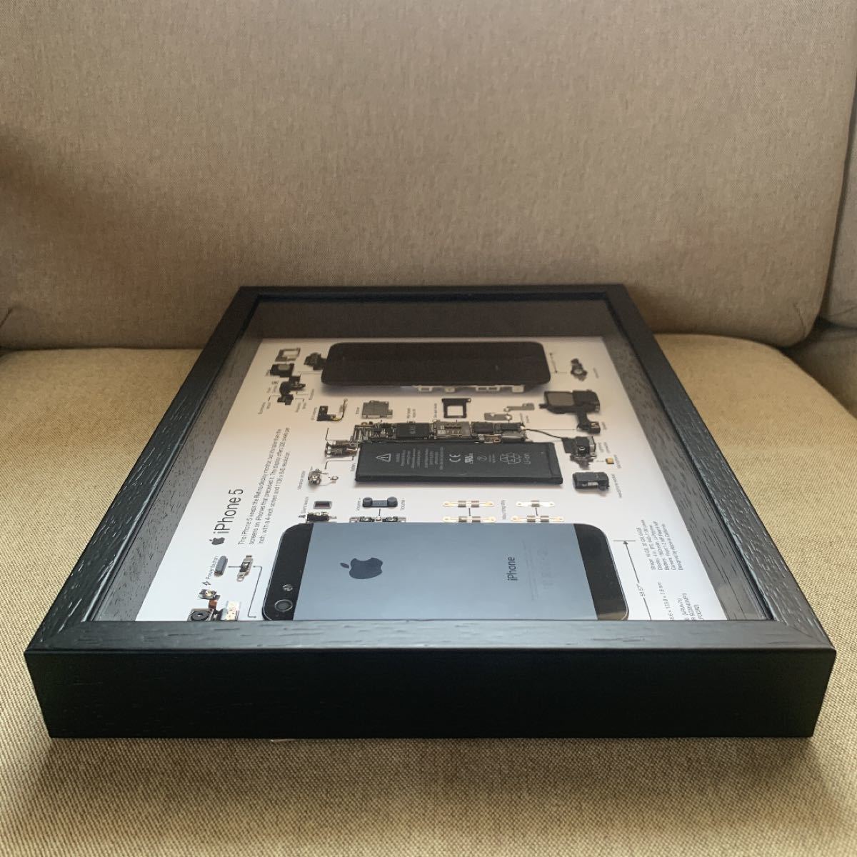 iPhone5 分解 標本アート 自作 ガジェアート|Yahoo!フリマ(旧 iPhone5 分解 標本アート 自作 ガジェアート|Yahoo!フリマ(旧