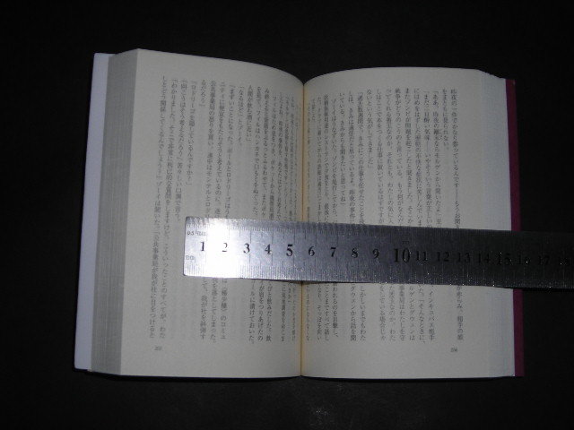 ’’「 魔物のためのニューヨーク案内　ムア・ラファティ / 訳とあとがき 杉田七重 」創元推理文庫F_画像2