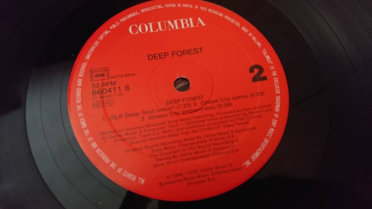 【House 12inch】Deep Forest / Deep Forest ディープフォレスト オランダ盤_画像4