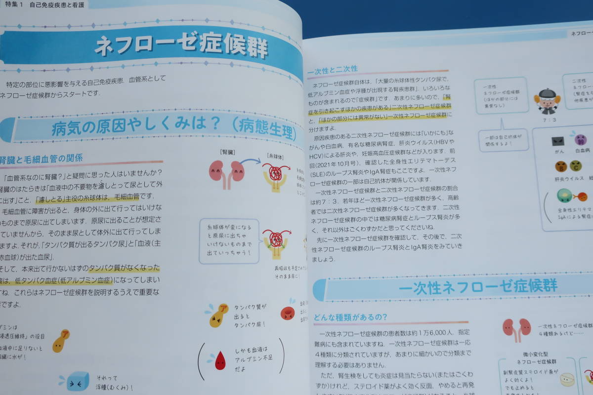 ナーシングキャンバス2021年11月号/看護学生実習国試対策/特集:自己免疫疾患と看護/事例で学ぶ薬物中毒患者/病態生理精神疾患/乳がん肺炎_画像4