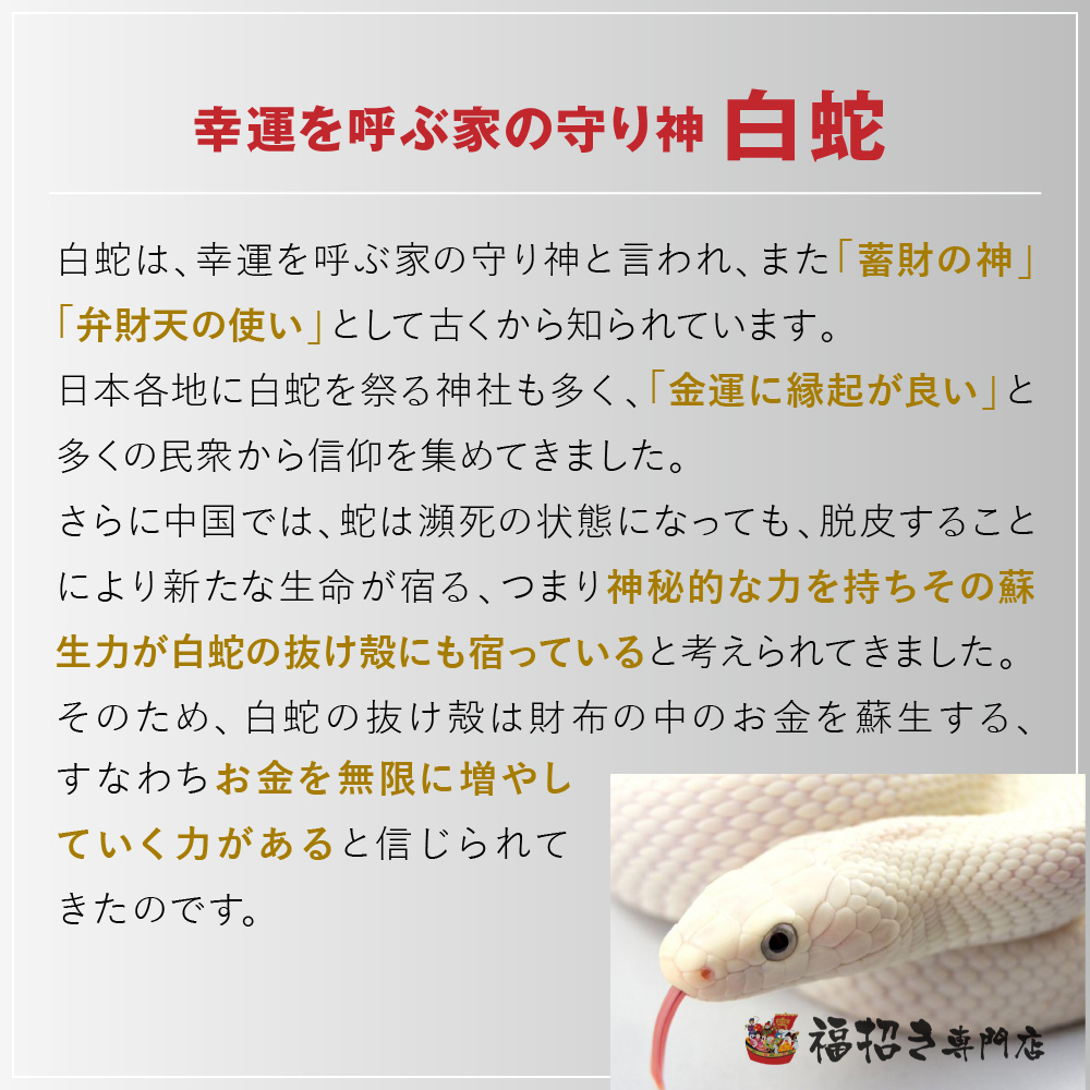 お腹 ストラップ 白蛇 抜け殻 丸 アクセサリー 祈願 グッズ キーホルダー ギフト 白蛇の抜け殻 白ヘビ 金運アップ お守り 風水　金運_画像3