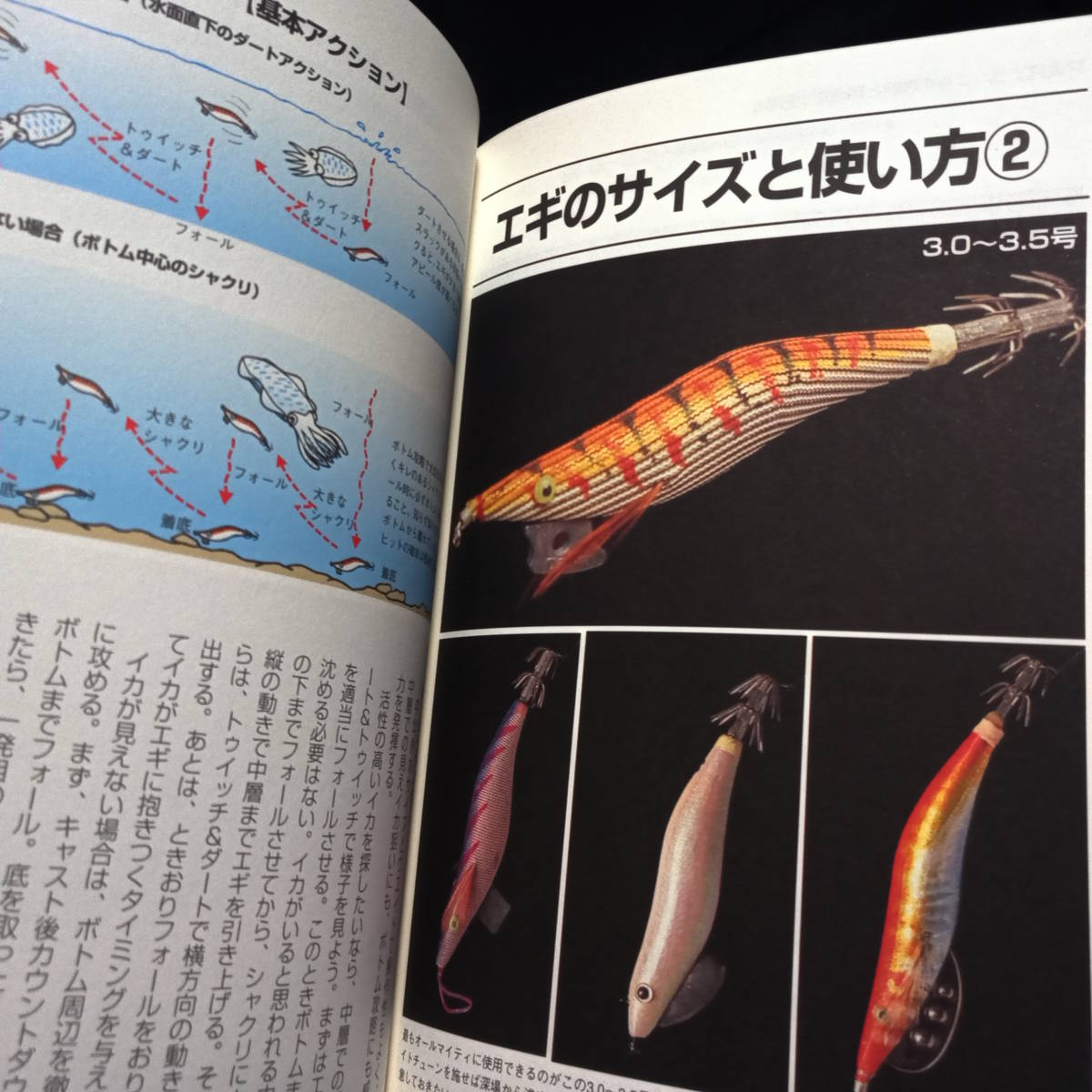 エギングがわかる本 イカの生態と適合エギの完全基礎知識 独特の素材 エギングがわかる本 イカの生態と適合エギの完全基礎知識 独特の素材