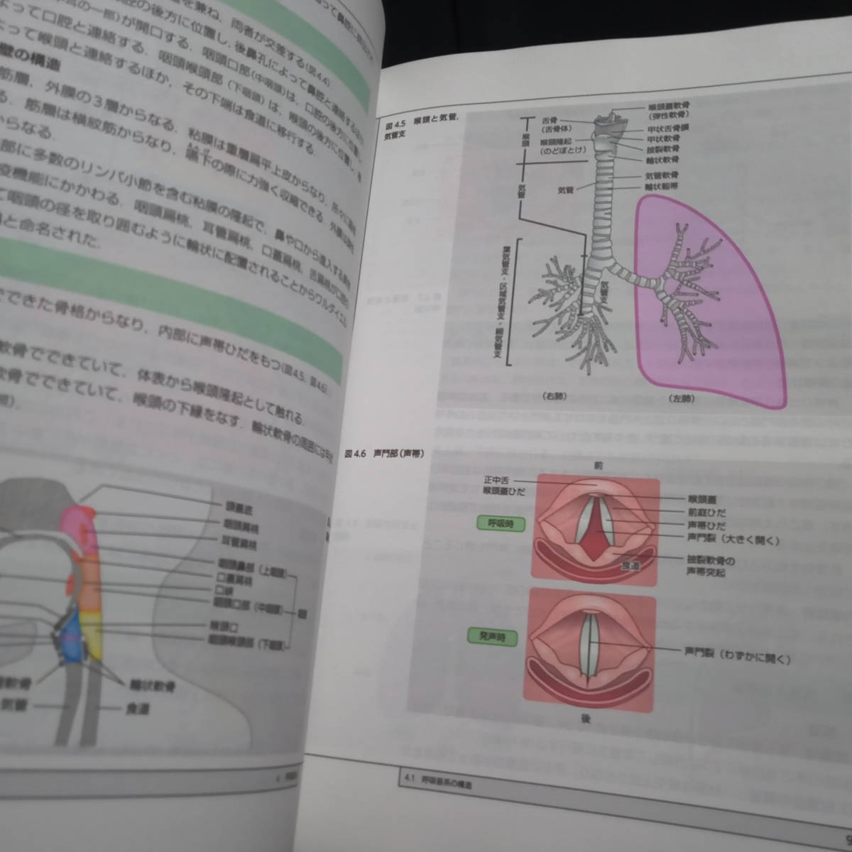 栄養科学シリーズNEXT 栄養解剖生理学　　_画像5