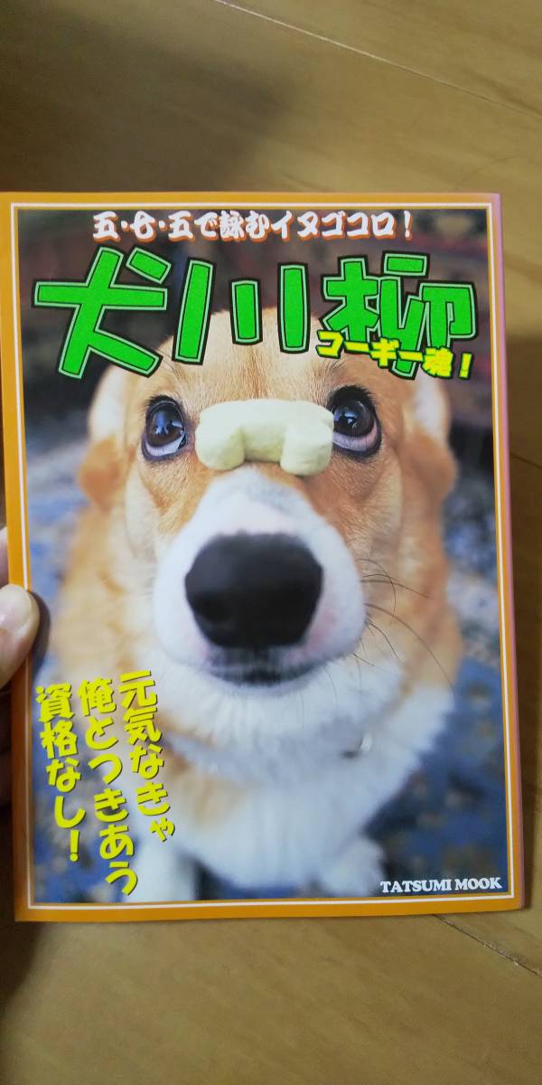  secondhand book dog senryu verse Corgi soul 