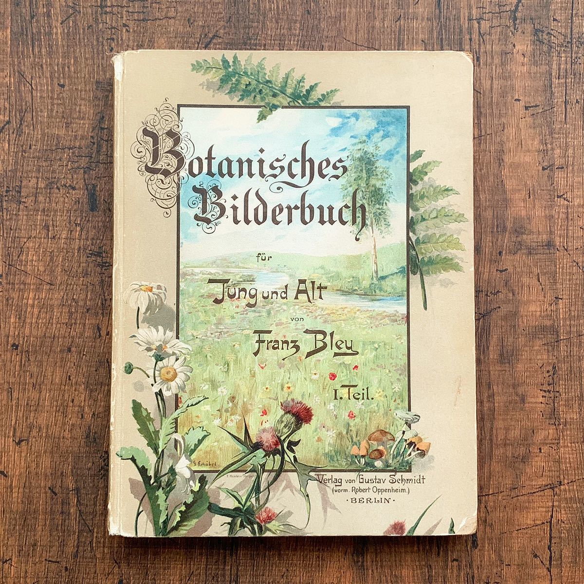 ドイツの古い植物図鑑(Botanisches Bilderbuch 1 1897年)/アンティーク ヴィンテージ ヨーロッパ 植物画 花 ボタニカルアート 雰囲気◎/_画像1