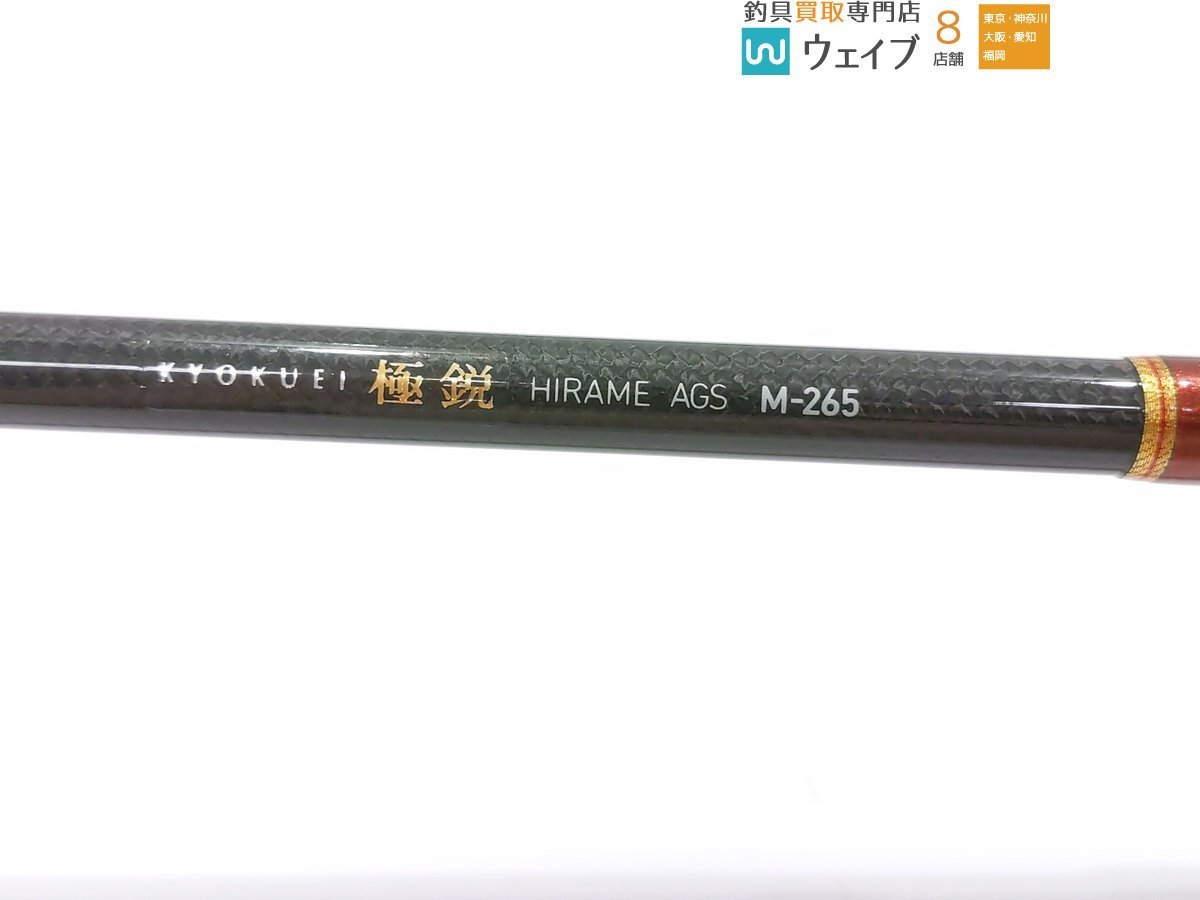 ダイワ 極鋭 ヒラメ AGS M-265_160F260358 (2).JPG