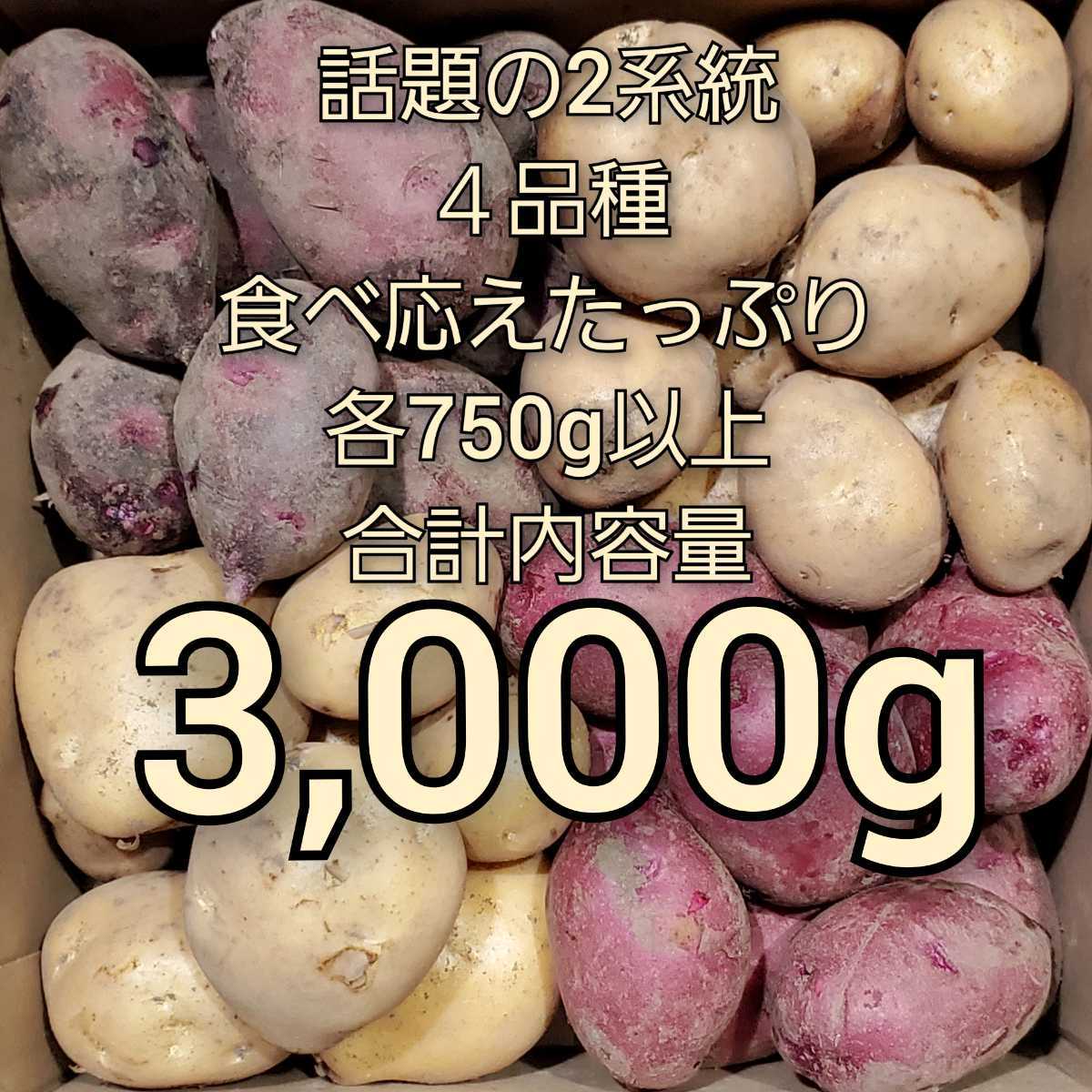 美味しくて話題の新じゃがいも!!『インカのめざめ』『グラウンドペチカ』『ながさき黄金』『レッドムーン』４品種を各750g以上　_画像1