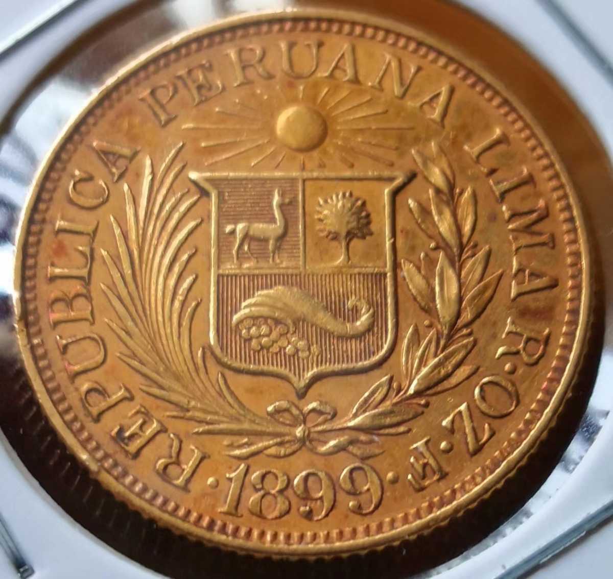 ペルー 1リブラ金貨 8g 原住民 早期年号1899年 入手困難品