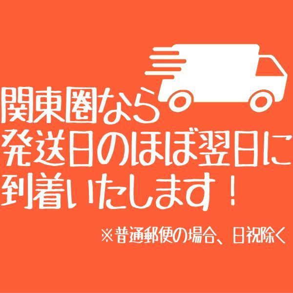 トレリート EM100・EM300用 粘着パッドa交換用ゲル ジェル 4組8枚 互換品 低周波 導電 EMS フィットネスマシン 追跡番号付き送料無料