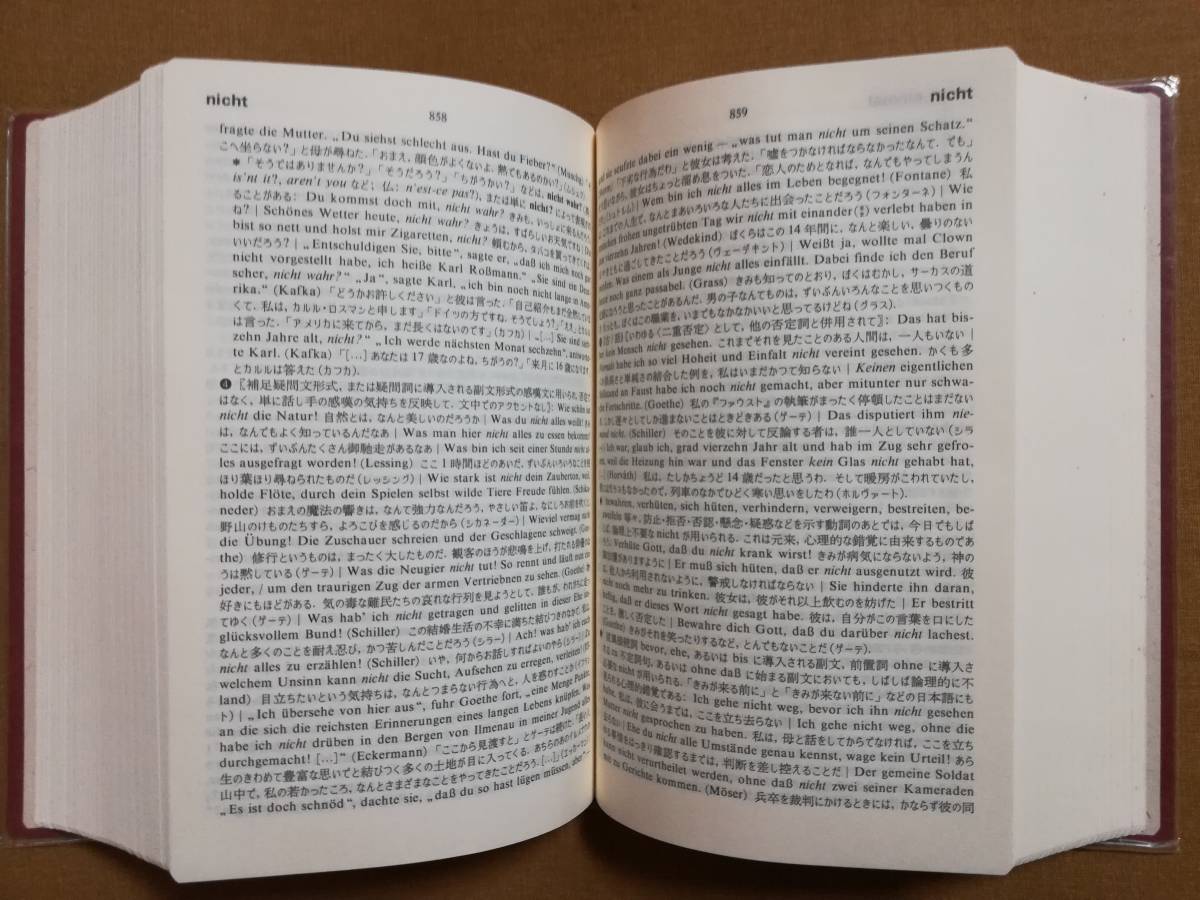 Dこ ドイツ語副詞辞典 1998年 岩崎栄二郎 編 白水社 ドイツ語理解に欠