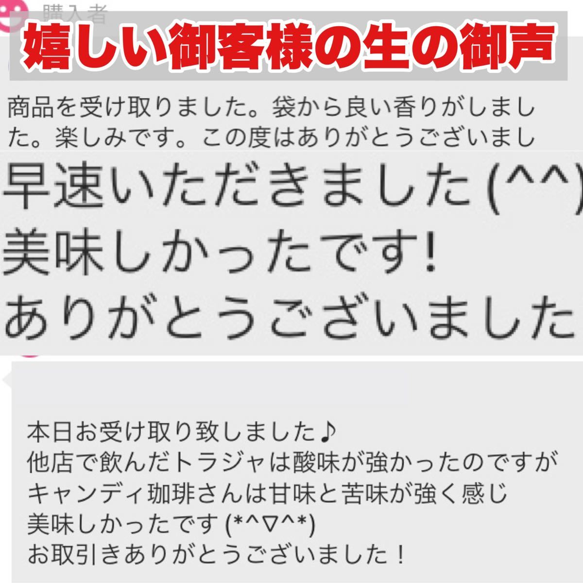 大好評 夏季限定 アイスコーヒー スイート 自家焙煎 コーヒー豆　アイス 珈琲豆 濃厚なコクと甘み 爽やか香る アイス厳選専用豆