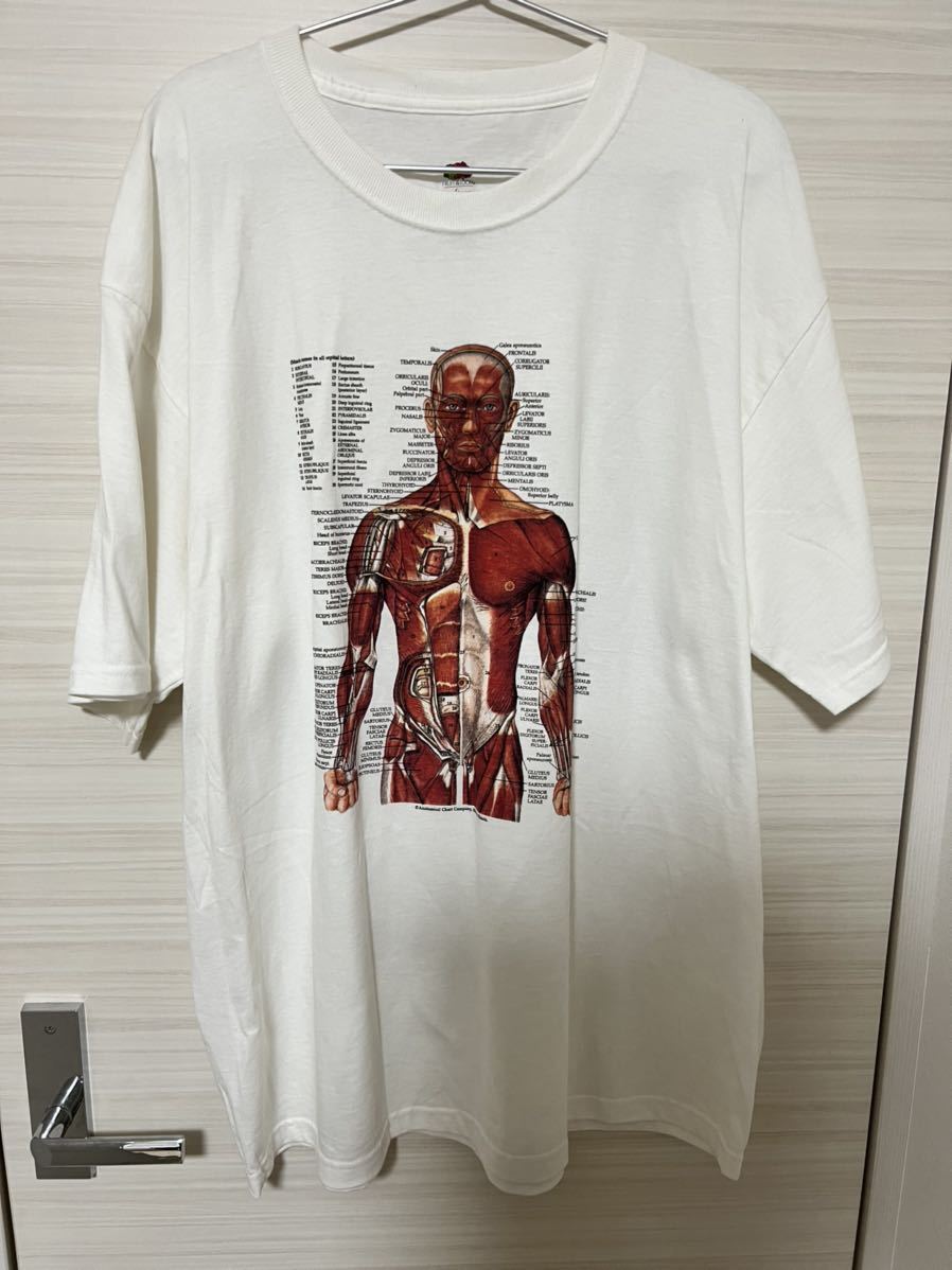 大量入荷 90sヴィンテージ｜Anatomical Chart co／解剖図 Tシャツ T