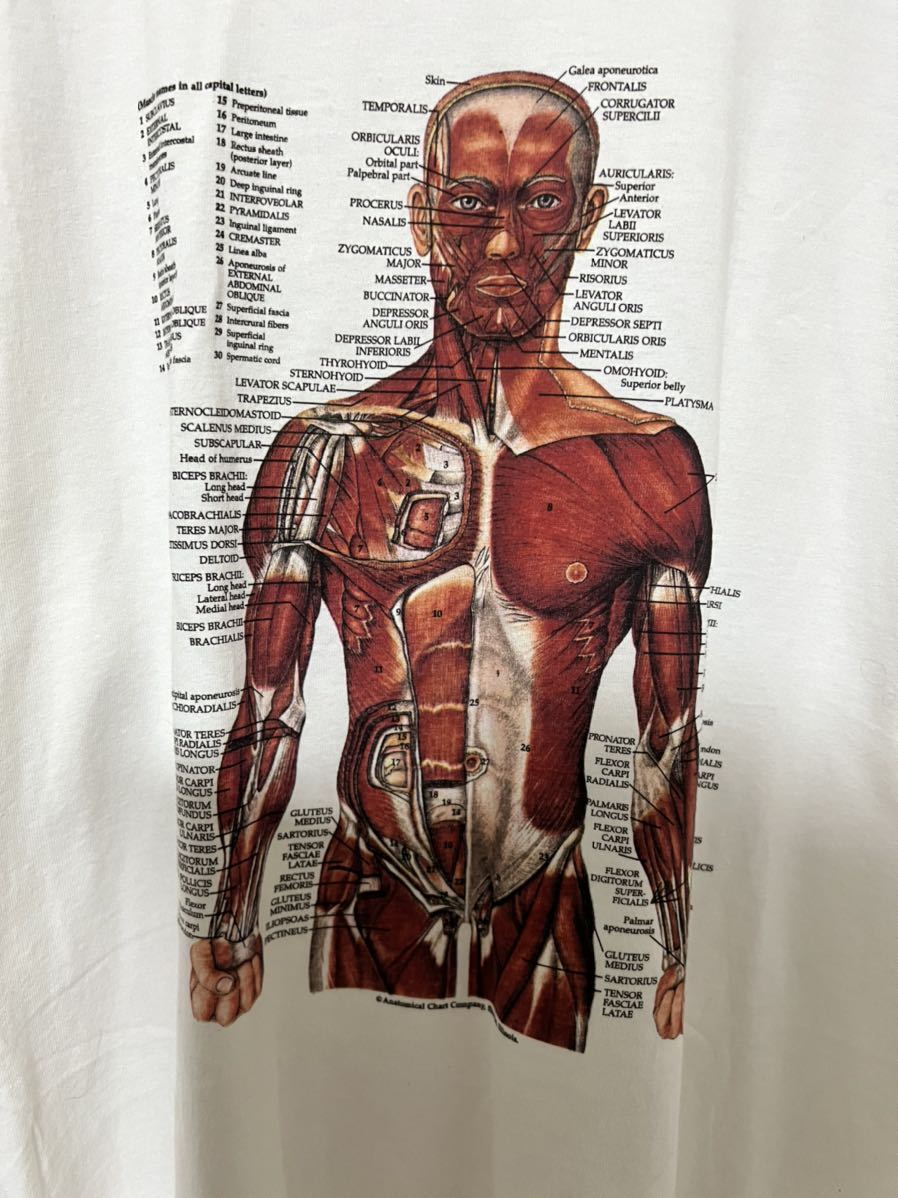 カートコバーン レプリカ tシャツ 人体 模型 パジャマ モヘア