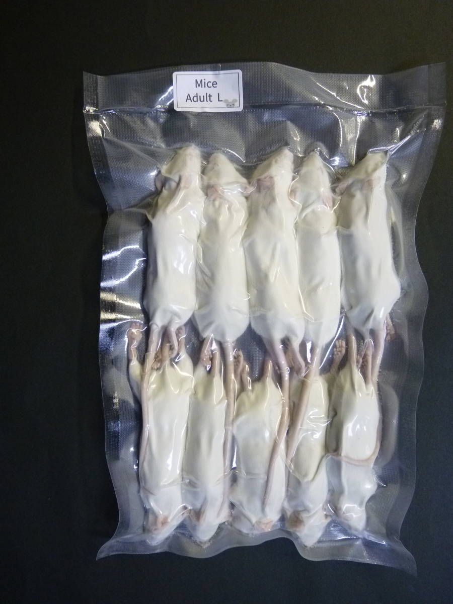 国産冷凍マウス アダルトL 10匹(エサ)|売買されたオークション情報 ...