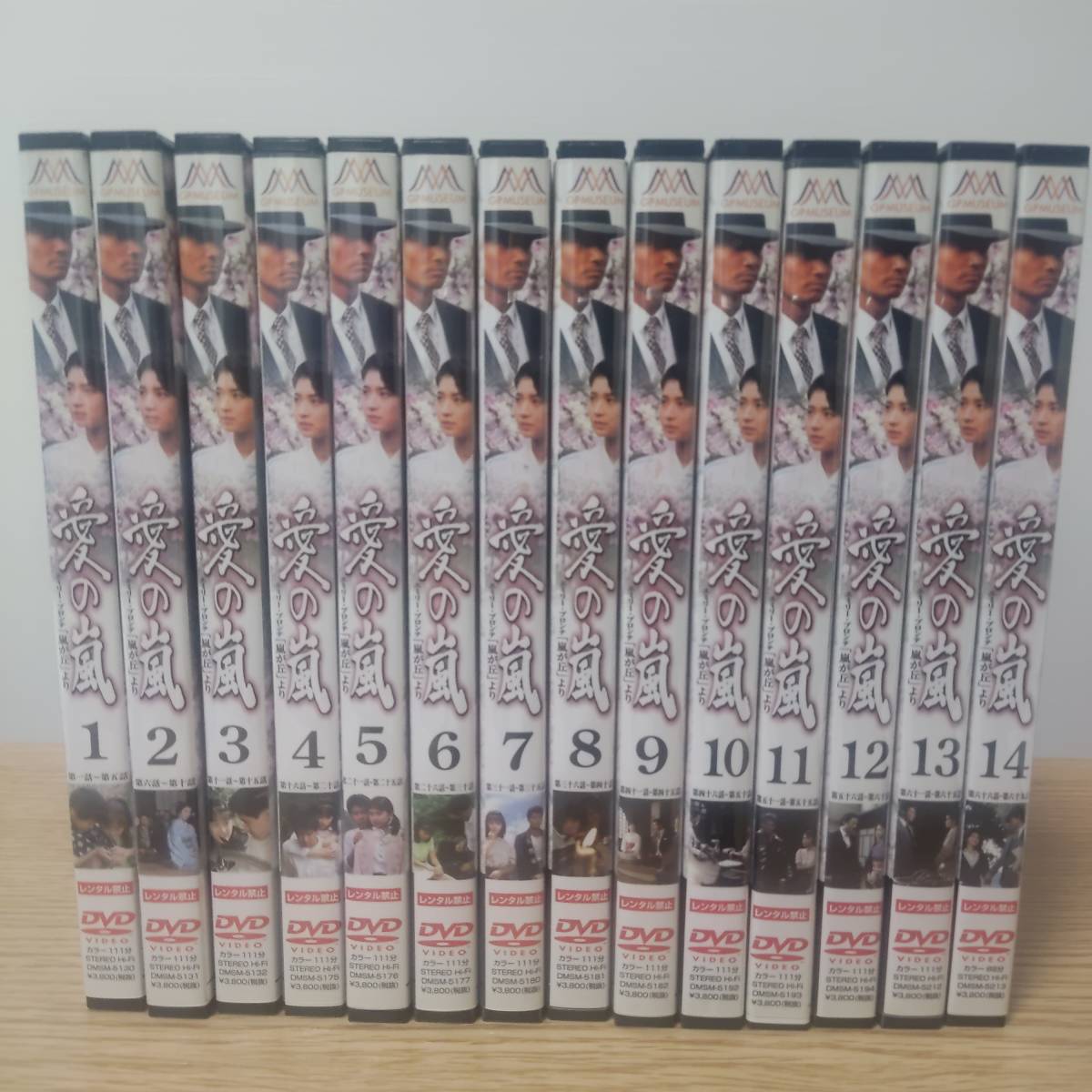 愛の嵐DVD 全14巻セット 田中美佐子 渡辺裕之